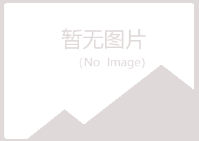 会东县山柏咨询有限公司